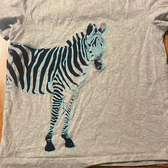 Boy’s cotton shirt Bundle size 8 Tea Collection & Gymboree - Picture 2 of 12